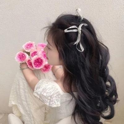 校园秘密档案 在线观看封面