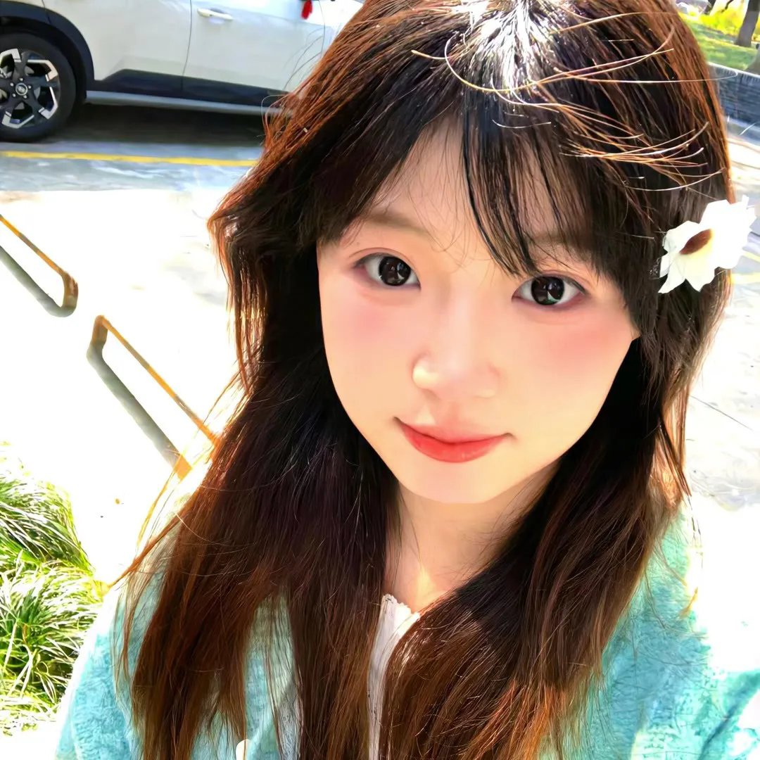 公仔炼金术 在线观看封面